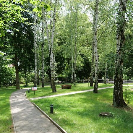 Penzion Harmony Javornik Ctyrkoly Luaran gambar